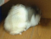 -á